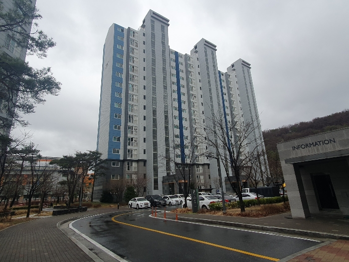 203동