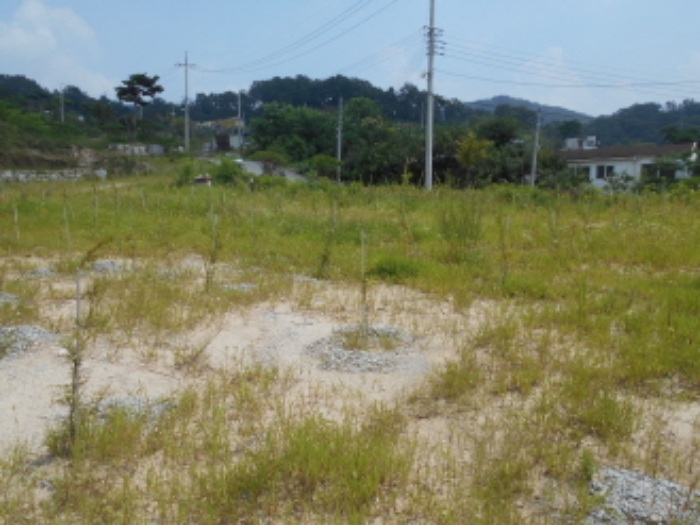 목록1 전경 (6)