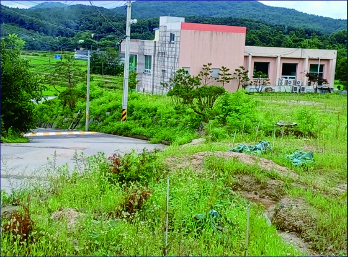 본건 (3) 토지 전경