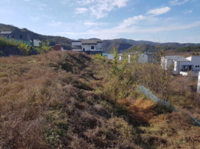 목록29 전경 (5)