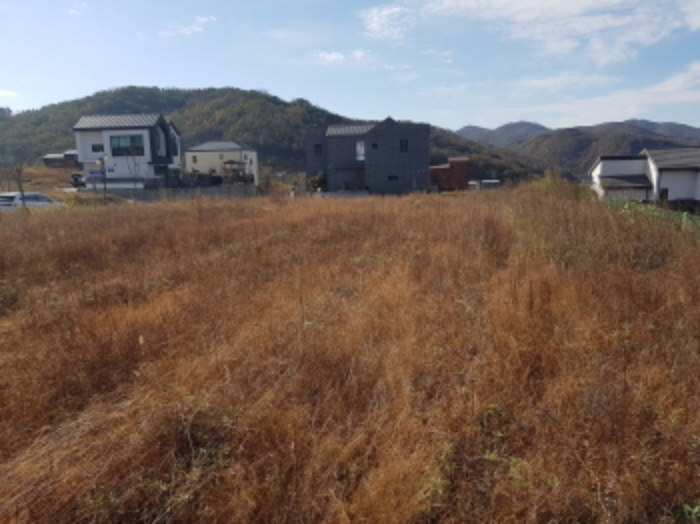 목록31 전경 (3)