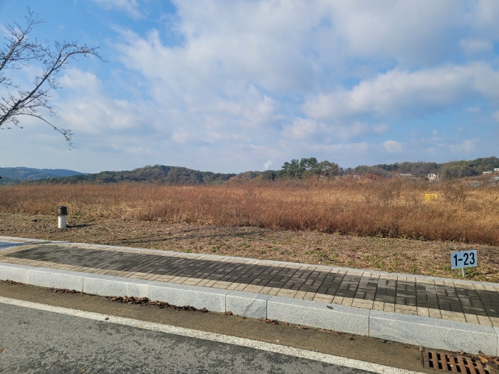 기호(31) 전경