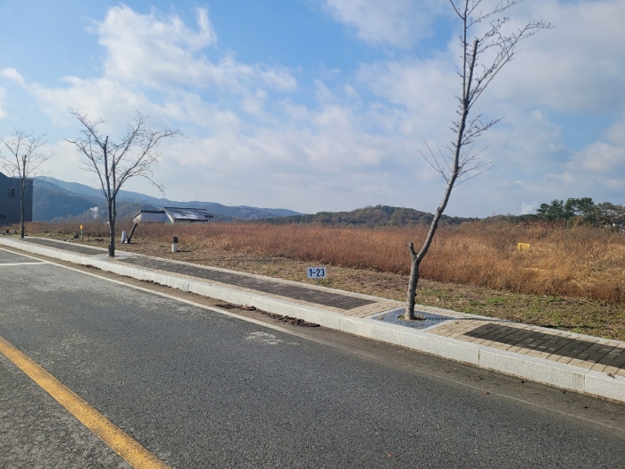 기호(31) 전경
