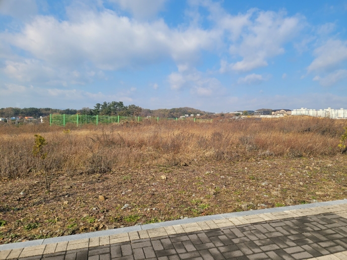 기호(33) 전경