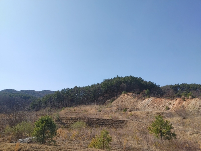 2023타경101776