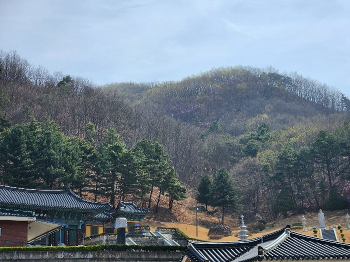 2023타경101899