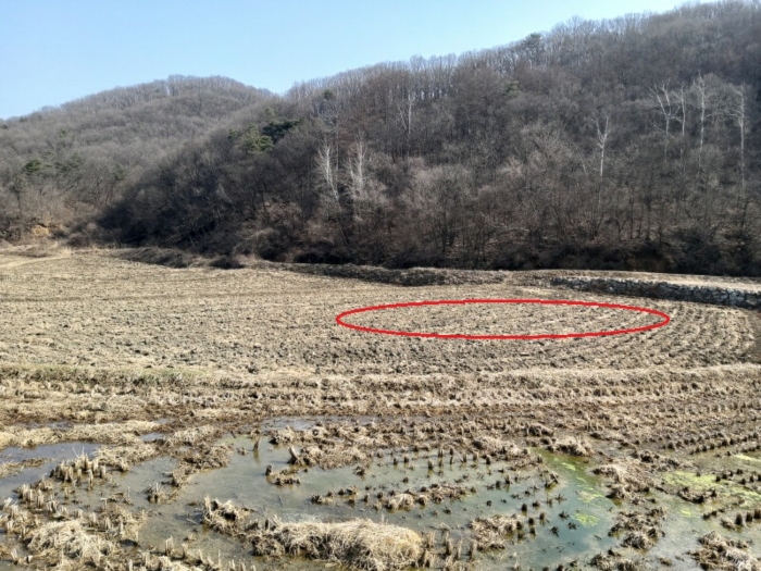 2023타경102717