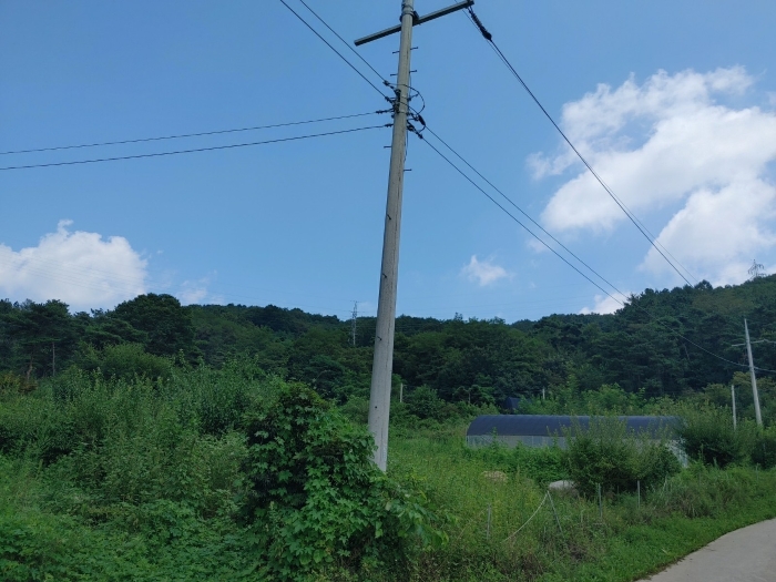 대상물건 전경(서측에서 촬영)