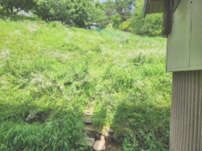 전경1