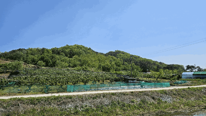 본건 북측 전경