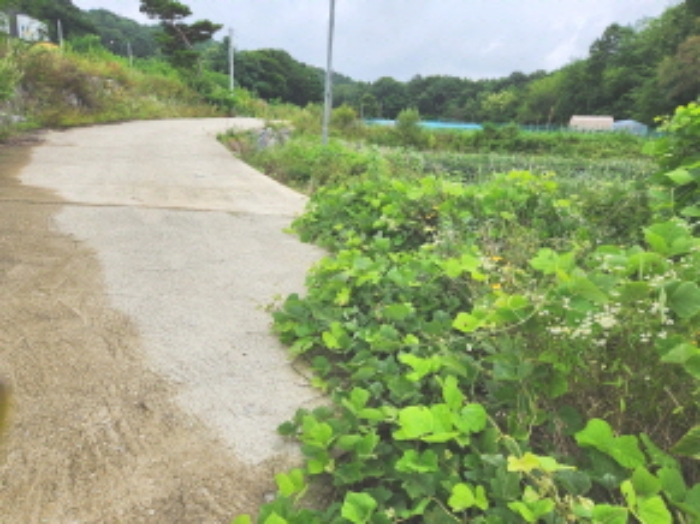 목록2 전경2