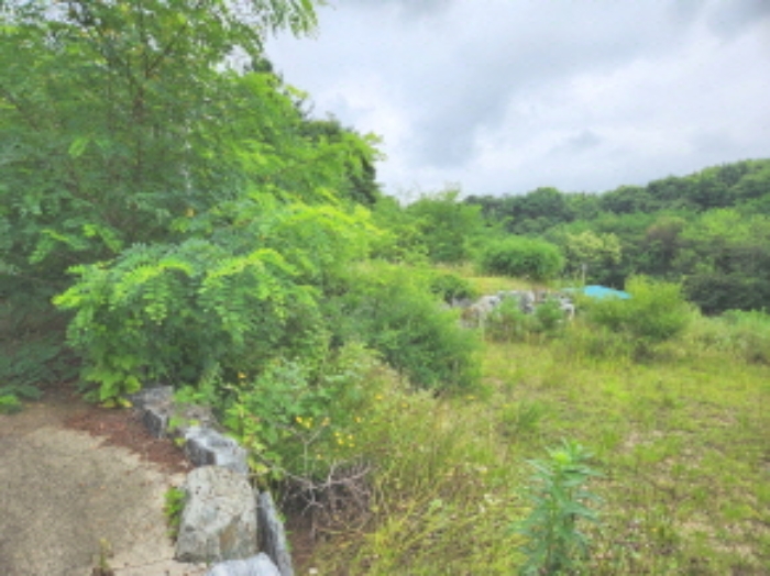 목록3 전경2