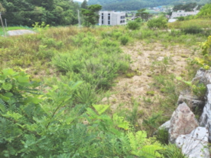 목록4 전경4