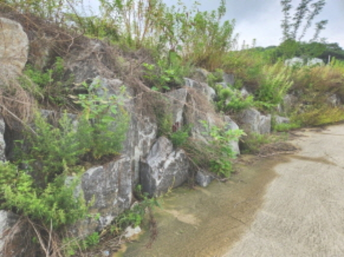 목록9 전경3