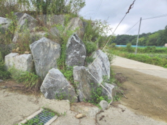 목록9 전경4