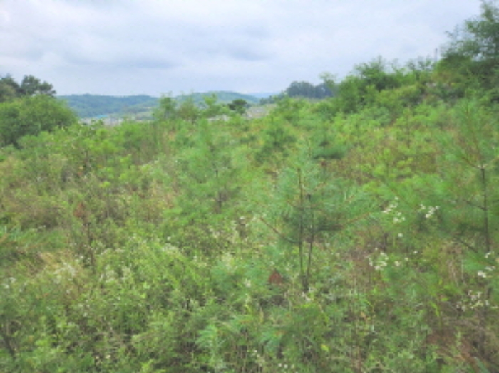 목록11 전경2