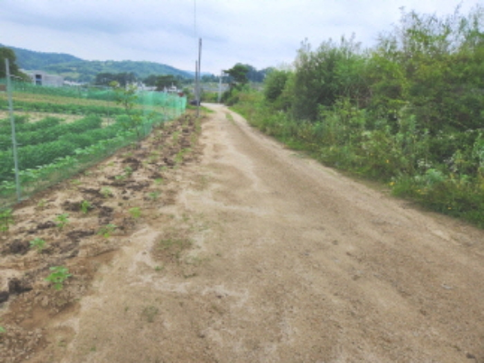 목록12 전경1