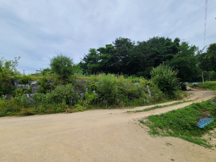 본건 기호(12)토지 전경