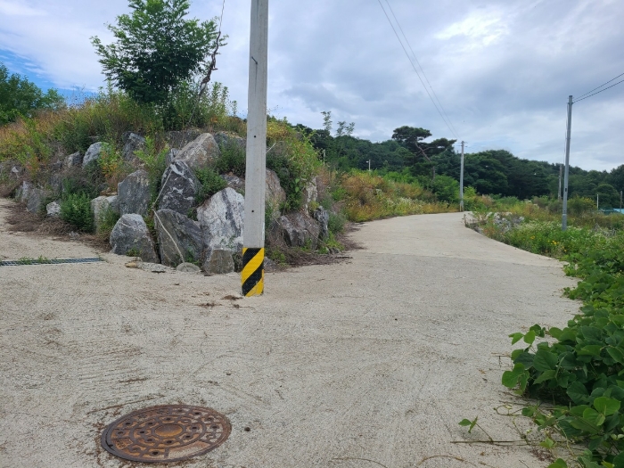 본건 기호(2,10)토지 전경