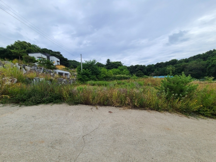 본건 기호(4)토지 전경