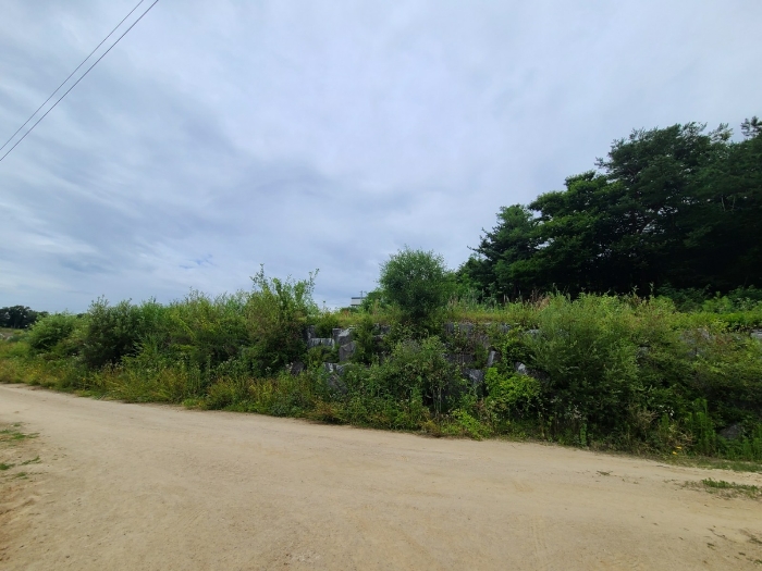 본건 기호(8)토지 전경
