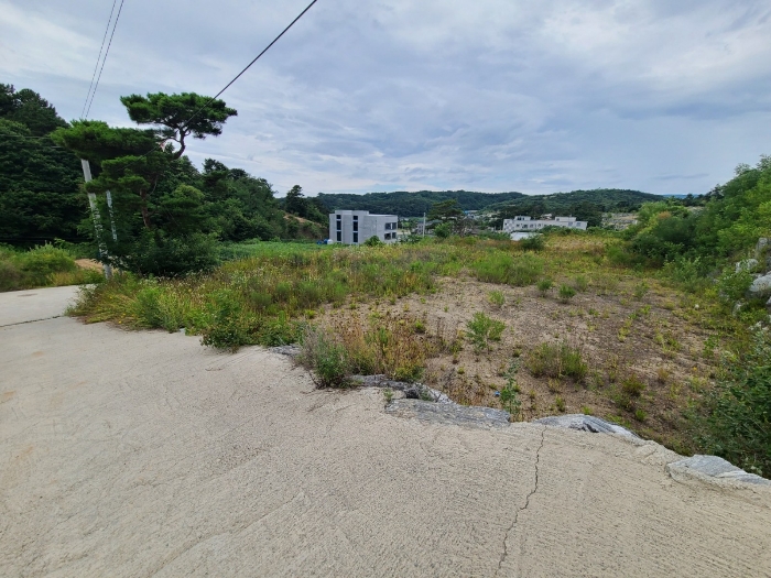 본건 기호(11)토지 전경