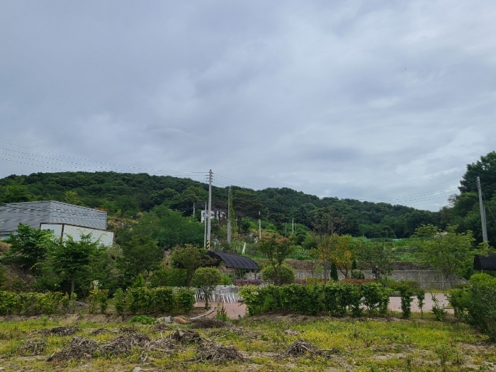 본건 주변 전경
