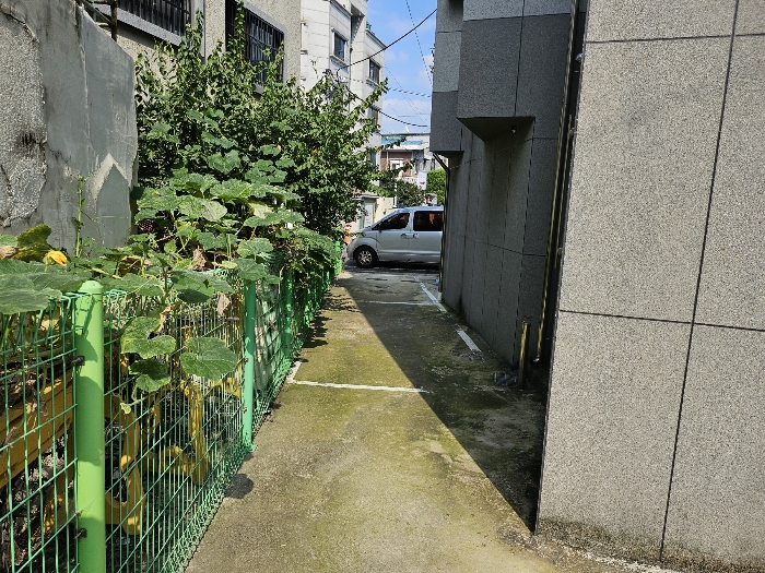 본건 북측 경계 주위환경