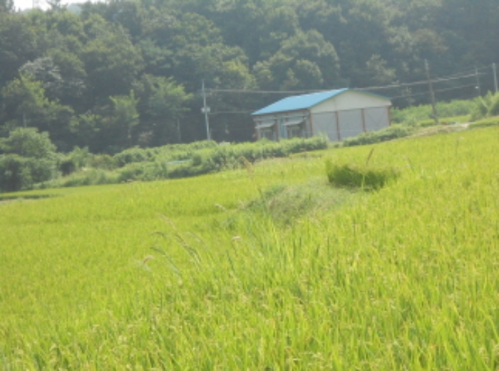 2024타경8140[1]