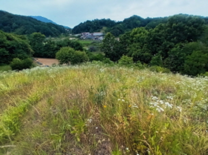 목록2번 전경(동쪽에서 촬영)