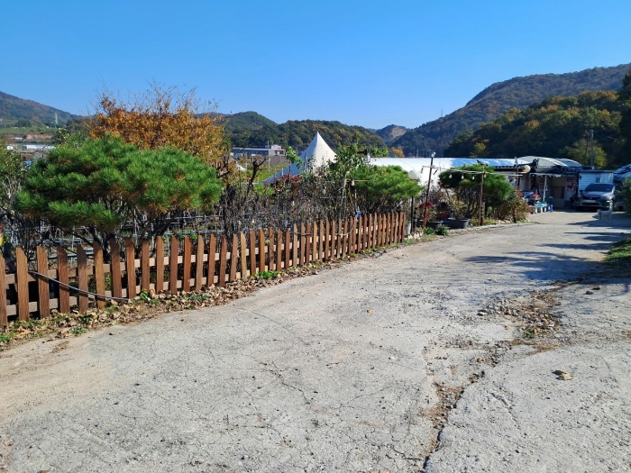 본건