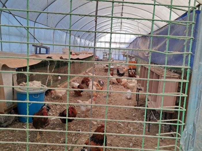제시외 ㉢ 내부