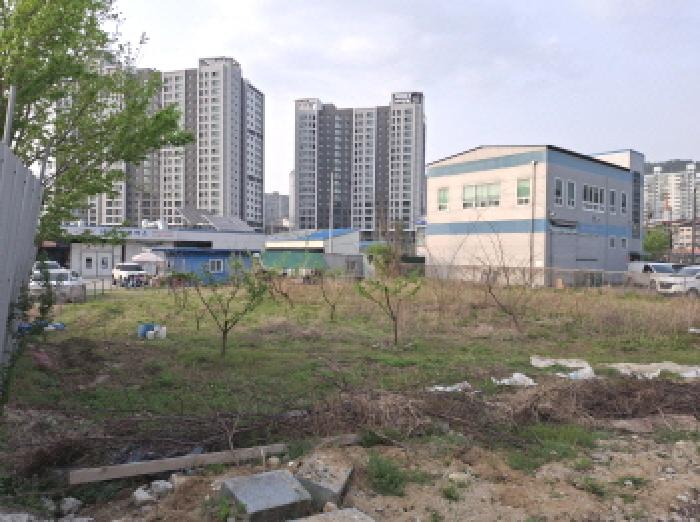 목록1 토지 제시외 수목 모습