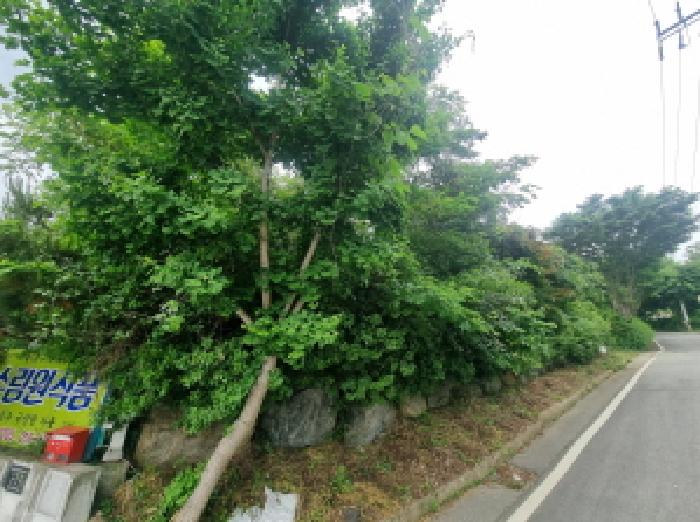 목록4 모습