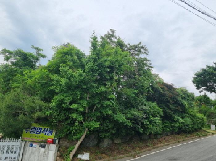 목록4 모습