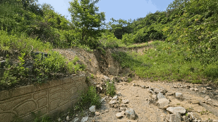 2025타경3549