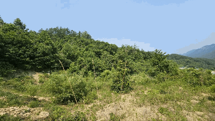 2025타경3549