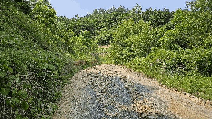 2025타경3549