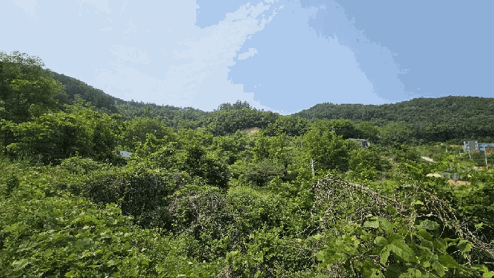 2025타경3549