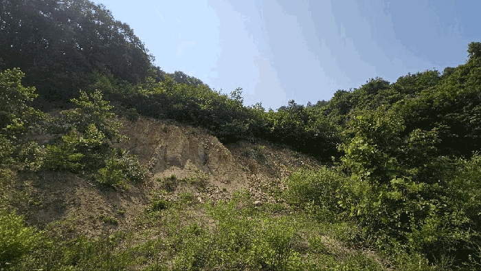 2025타경3549