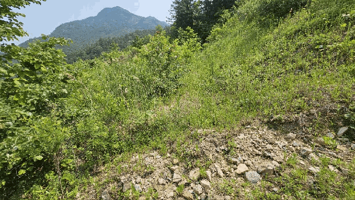 2025타경3549
