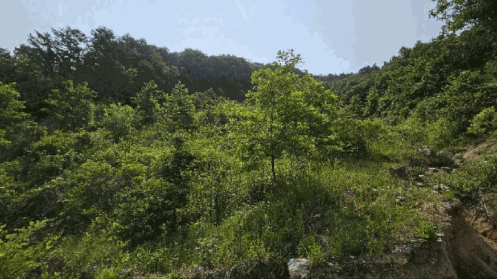 2025타경3549