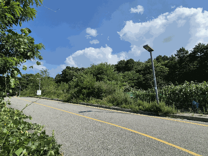 본건전경