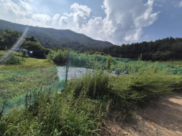 목록1 전경