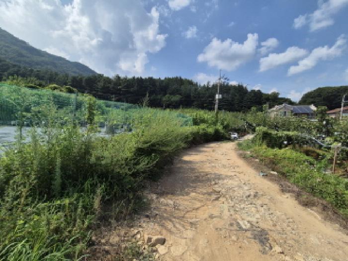 목록1 전경