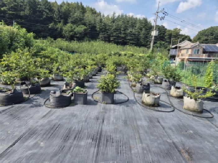 목록1 전경