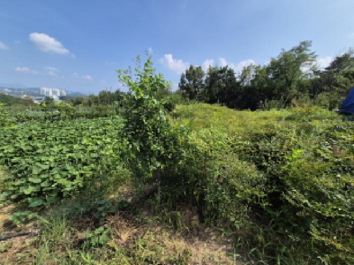 목록2 전경