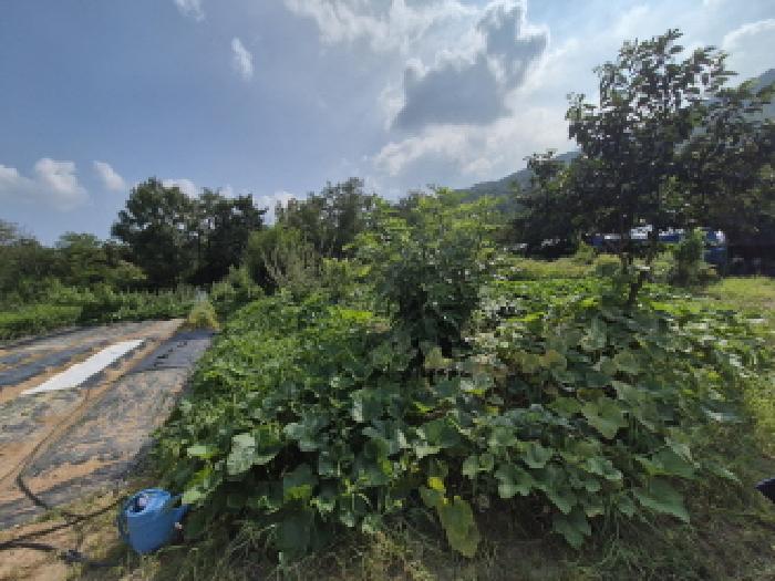 목록2 전경