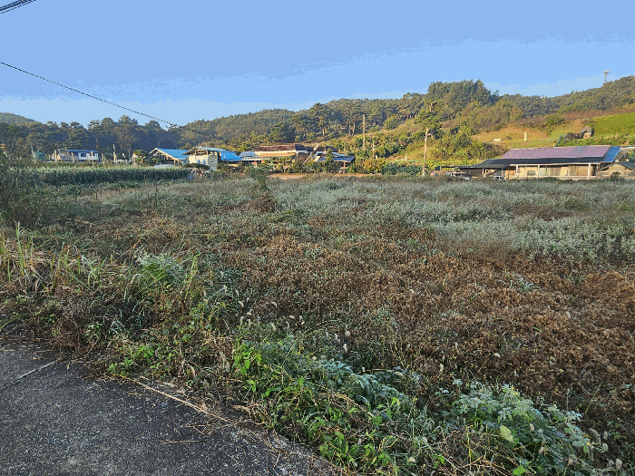 기호1,2토자 (서측)