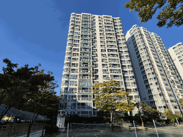 본건 101동